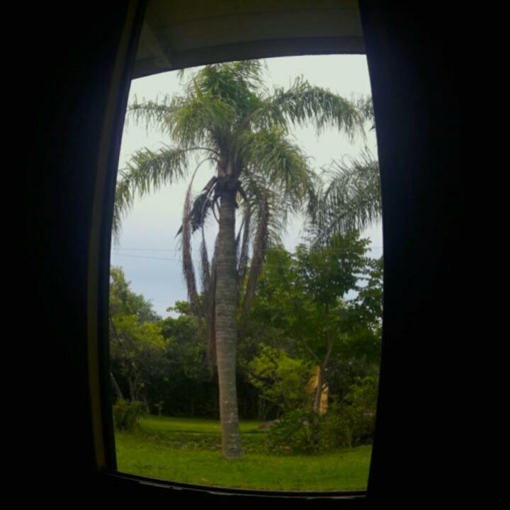Camping Enigma *